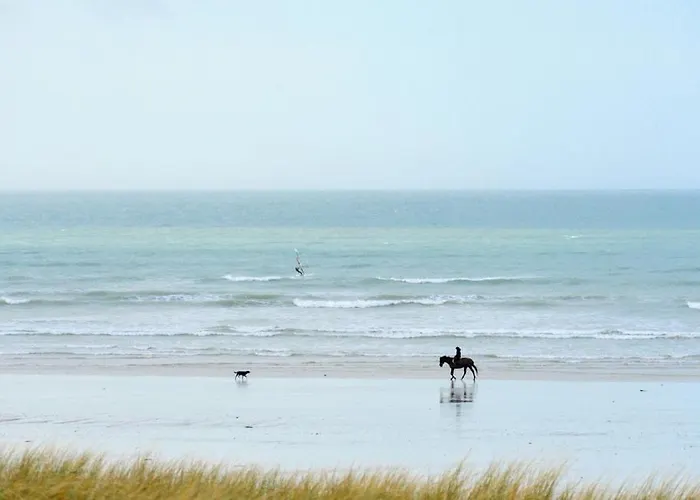 Le Crepuscule, 300m De La Plage, Animaux De Compagnie Bienvenue 펜션 Gouville-sur-Mer