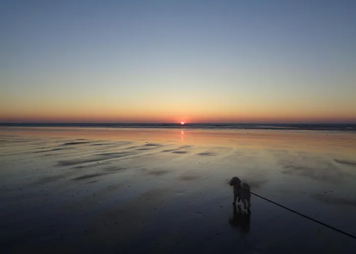 Le Crepuscule, 300m De La Plage, Animaux De Compagnie Bienvenue 펜션 Gouville-sur-Mer